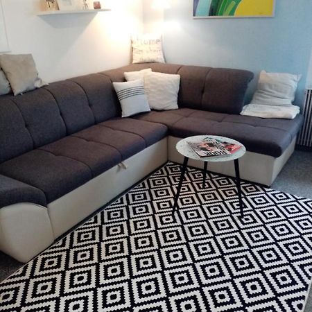 Art Apartman Plitvička Jezera Buitenkant foto